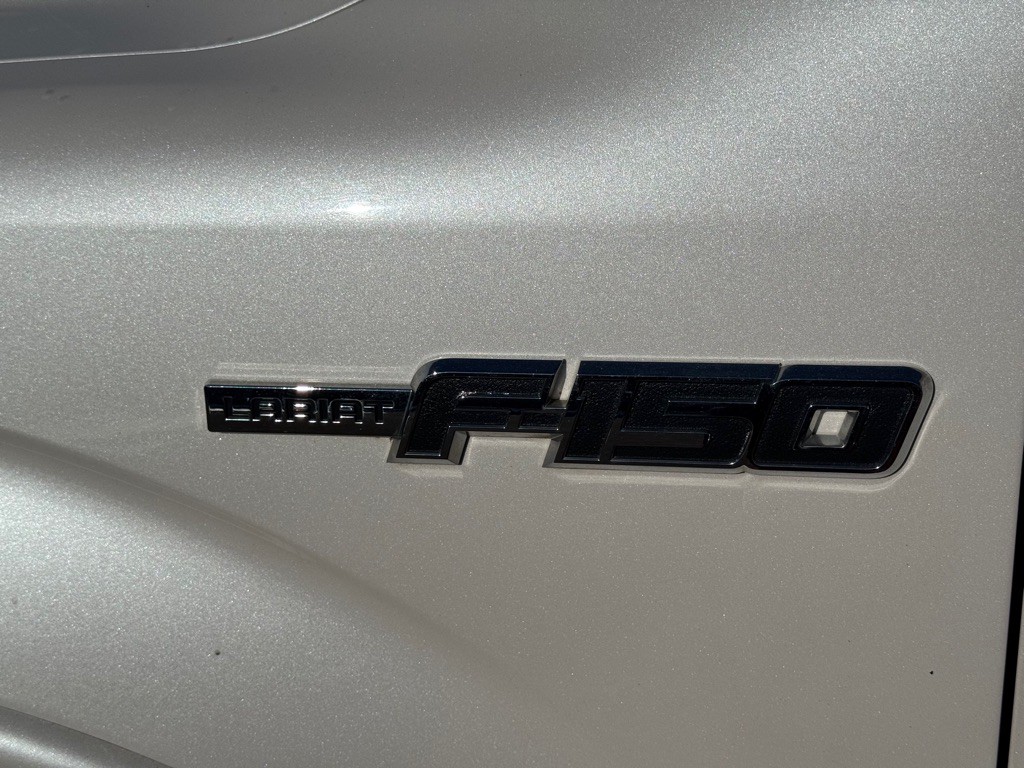 2010 Ford F-150 Image 15