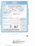 Image for 2021 Hyundai Elantra SEL ID: 6651658