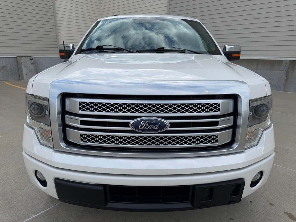 2014 Ford F-150 Image 8