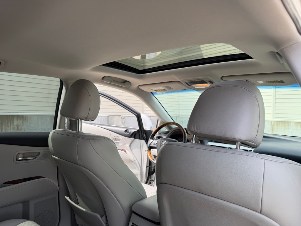 2010 Lexus RX Image 19