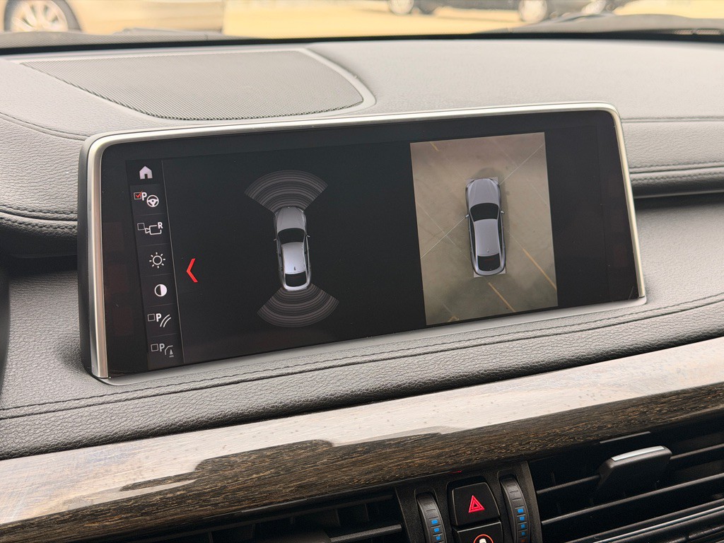2019 BMW X6 Image 12