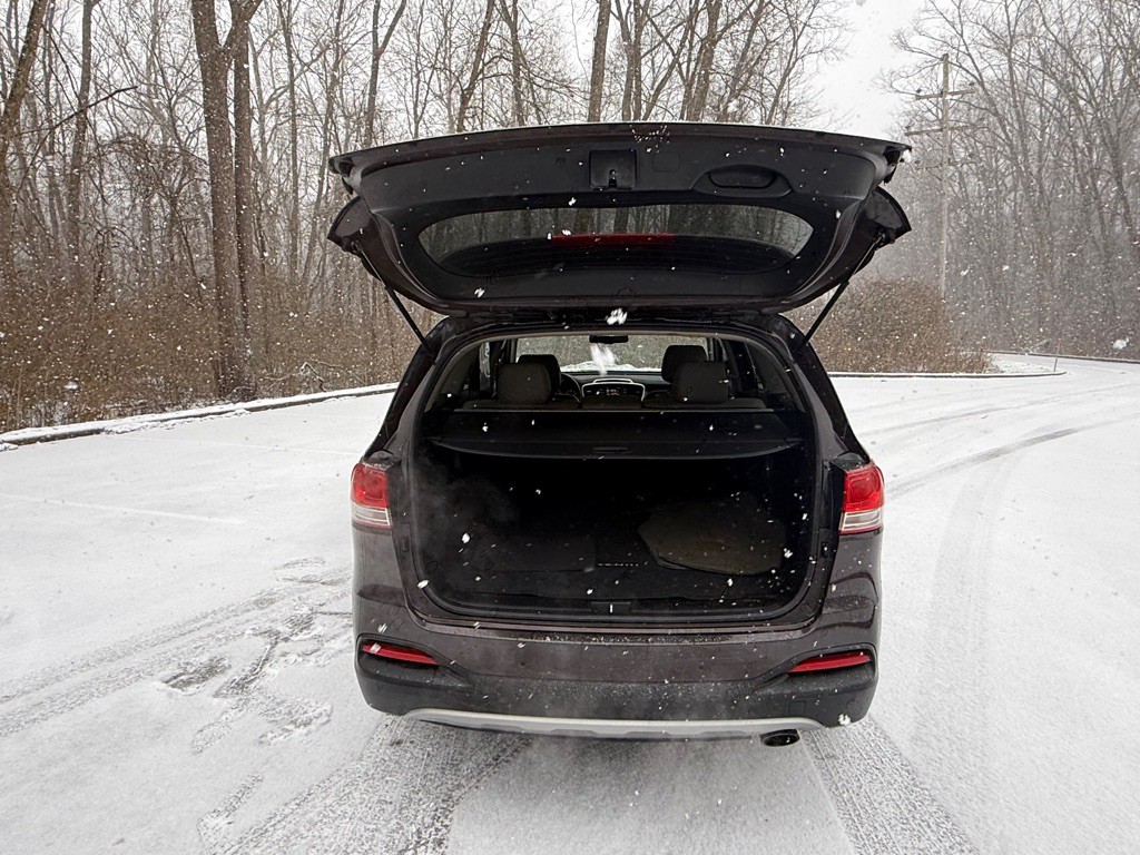 2016 Kia Sorento Image 16