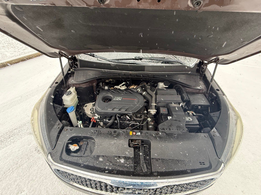 2016 Kia Sorento Image 21
