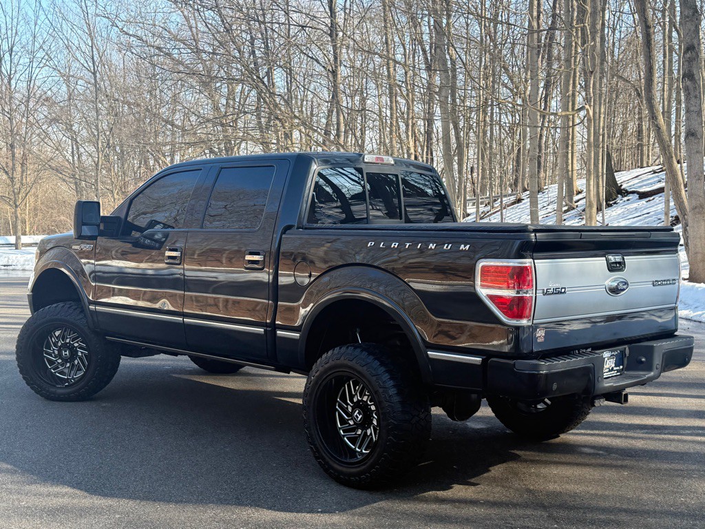 2014 Ford F-150 Image 3