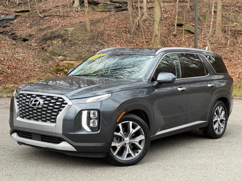 2020 Hyundai Palisade Image 1