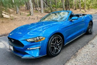 Image for 2020 Ford Mustang Ecosport Premium ID: 6184031