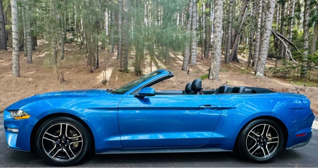 2020 Ford Mustang Image 3