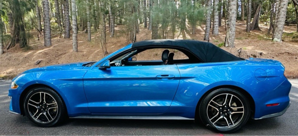 2020 Ford Mustang Image 11