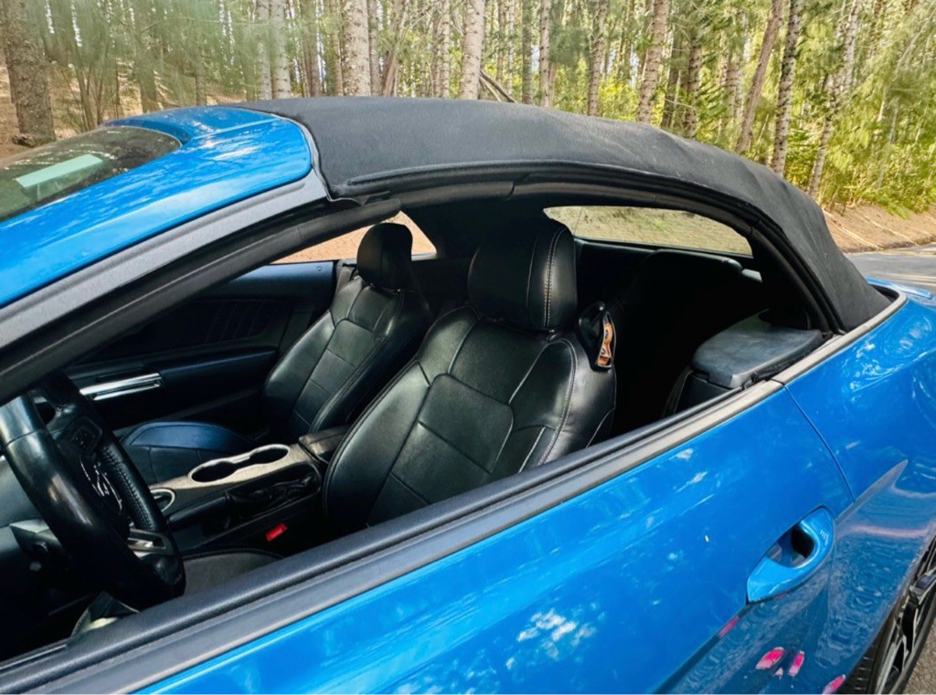 2020 Ford Mustang Image 12