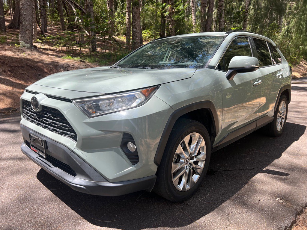 2019 Toyota Rav4 Image 1
