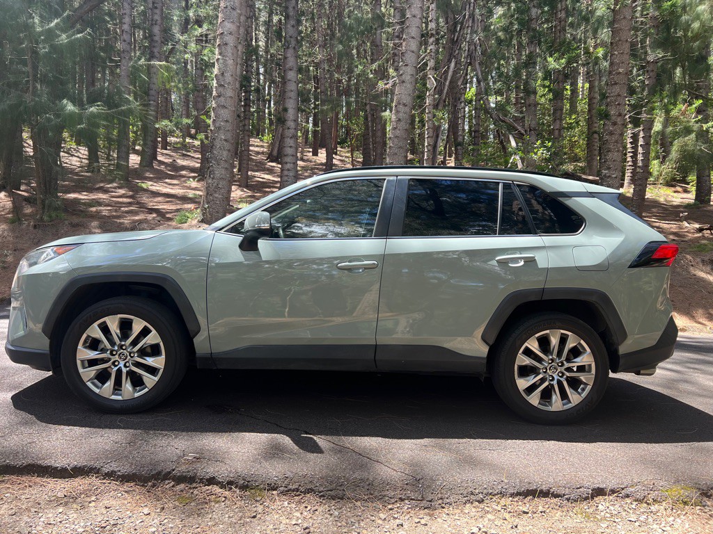 2019 Toyota Rav4 Image 4