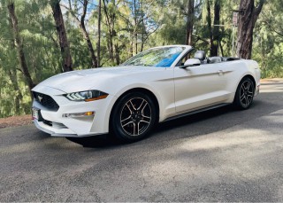 Image for 2020 Ford Mustang Eco Premuim ID: 6682181