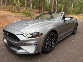 Image for 2022 Ford Mustang Eco Premium ID: 6724565