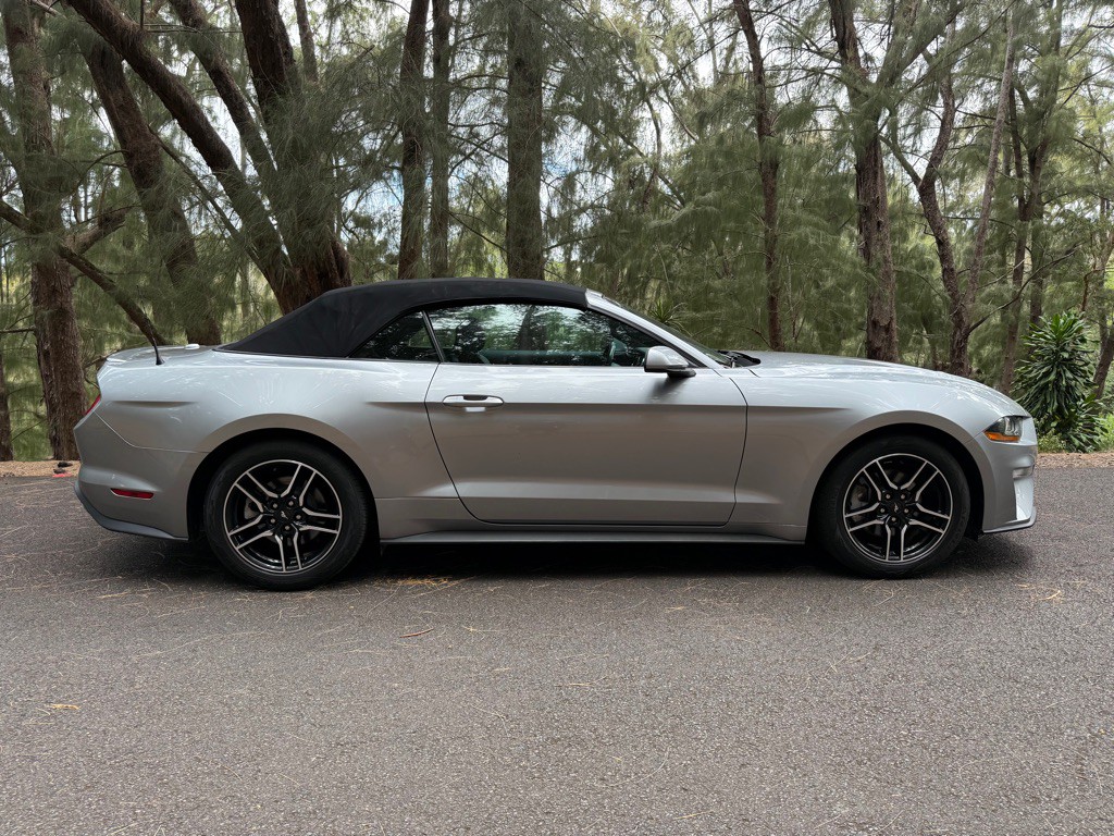 2022 Ford Mustang Image 4