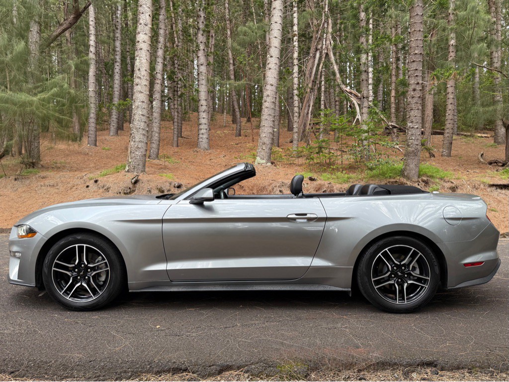 2022 Ford Mustang Image 5