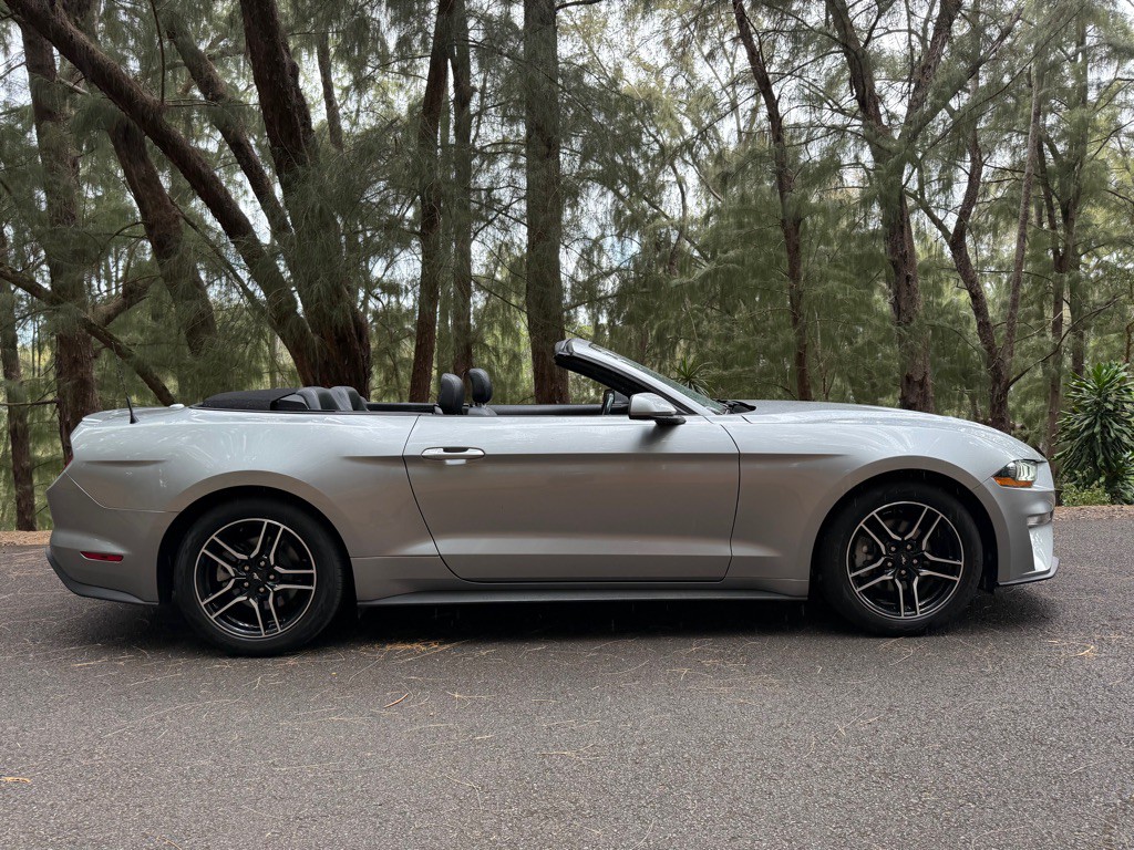 2022 Ford Mustang Image 7