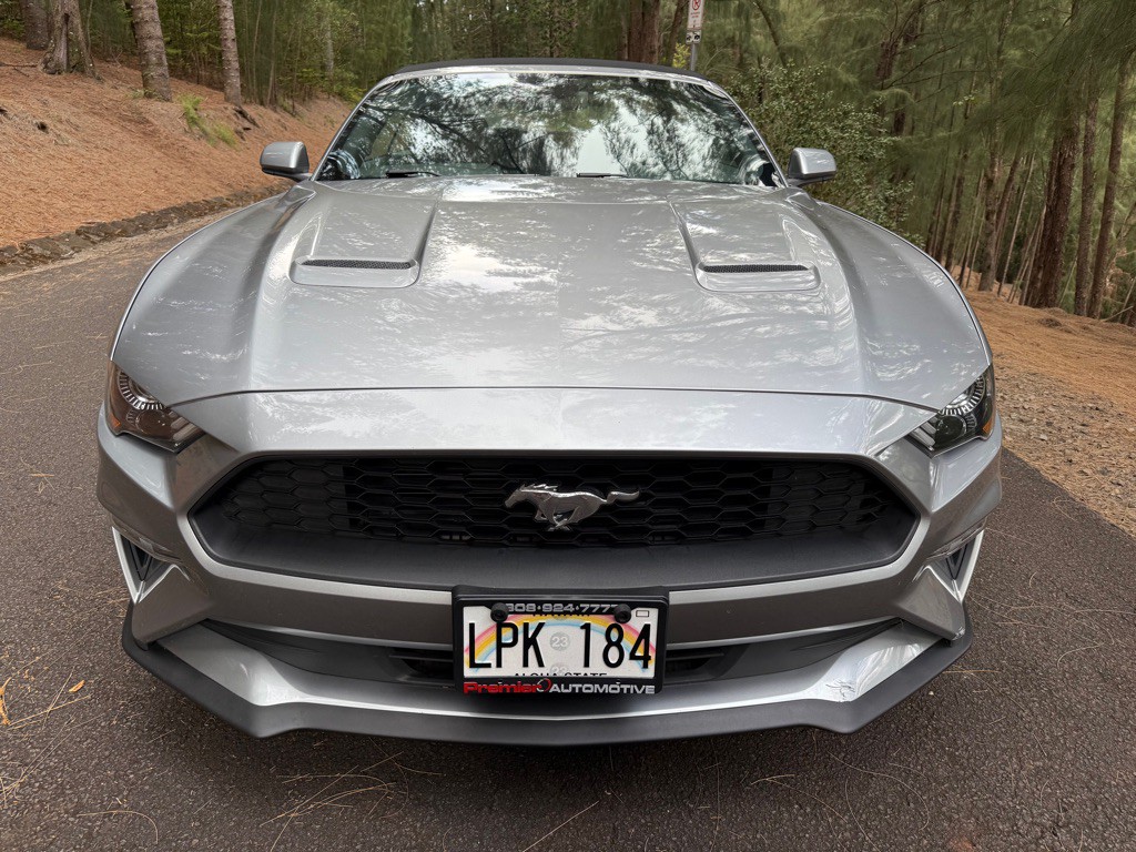 2022 Ford Mustang Image 11