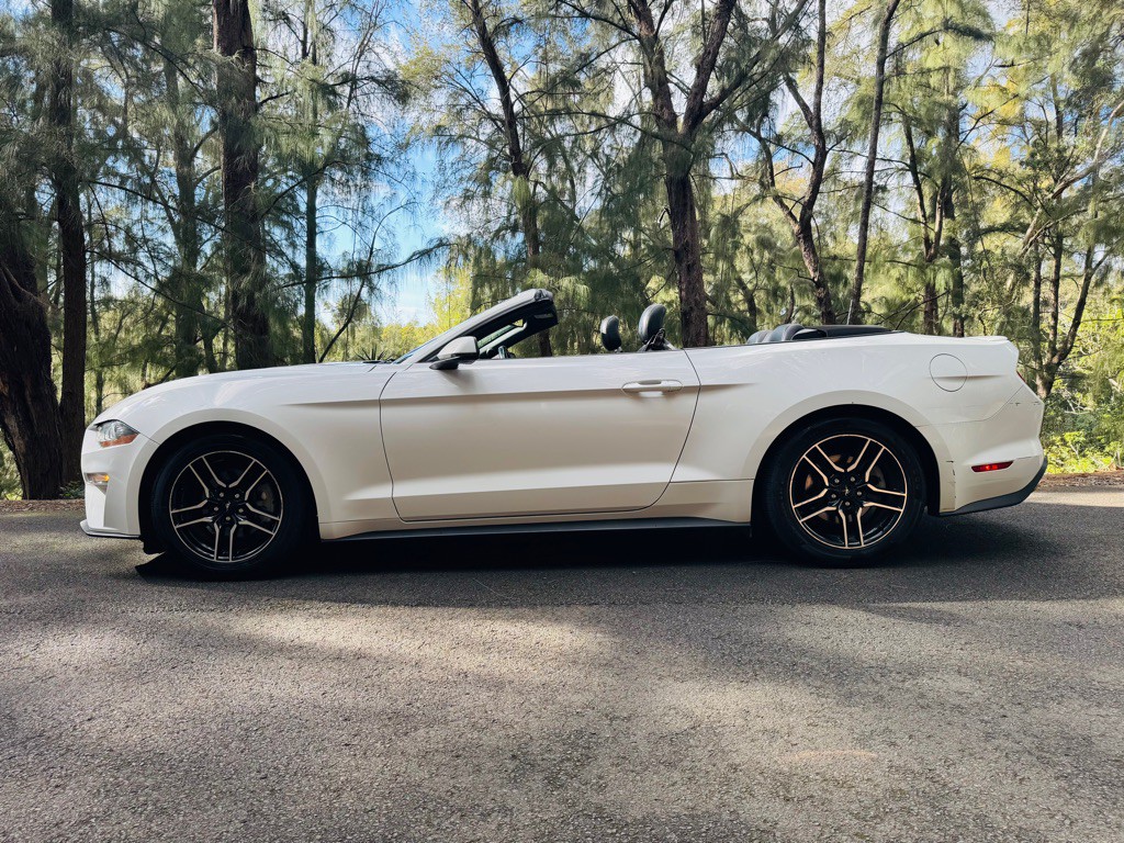 2020 Ford Mustang Image 3