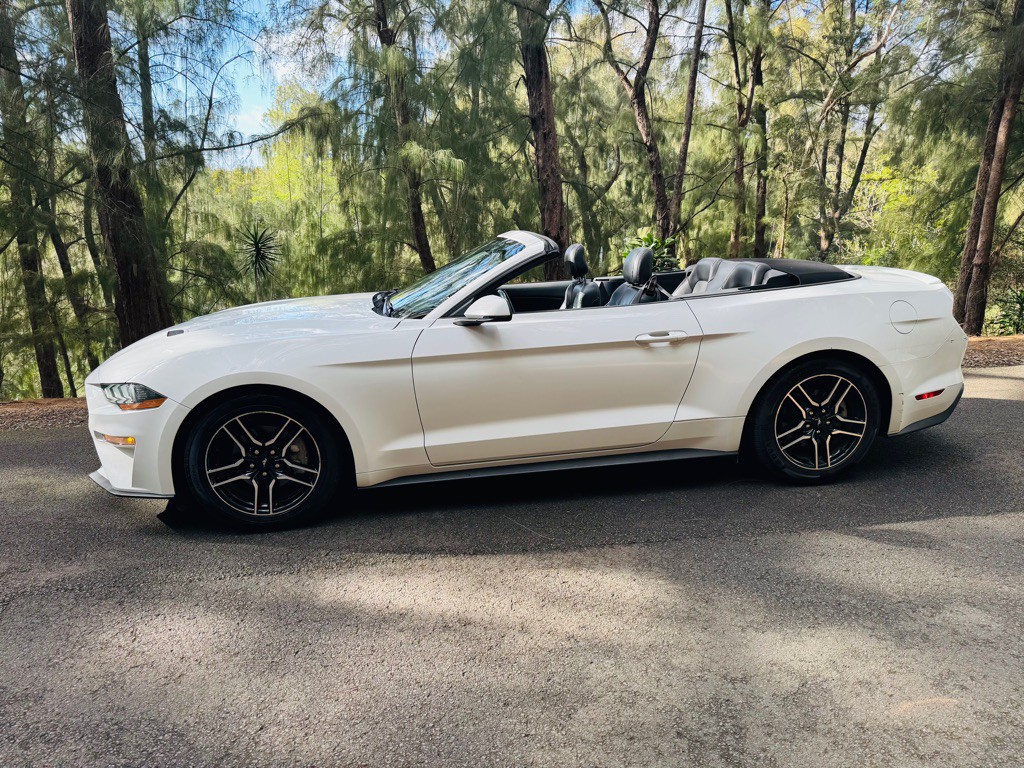 2020 Ford Mustang Image 4
