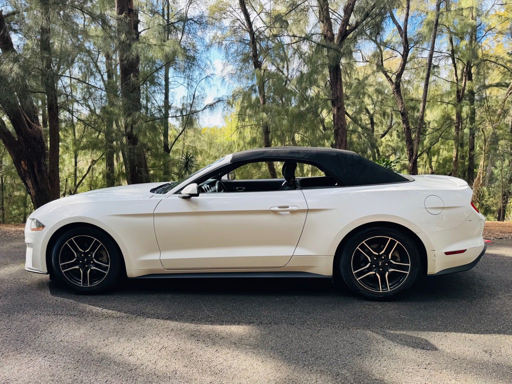 2020 Ford Mustang Image 6