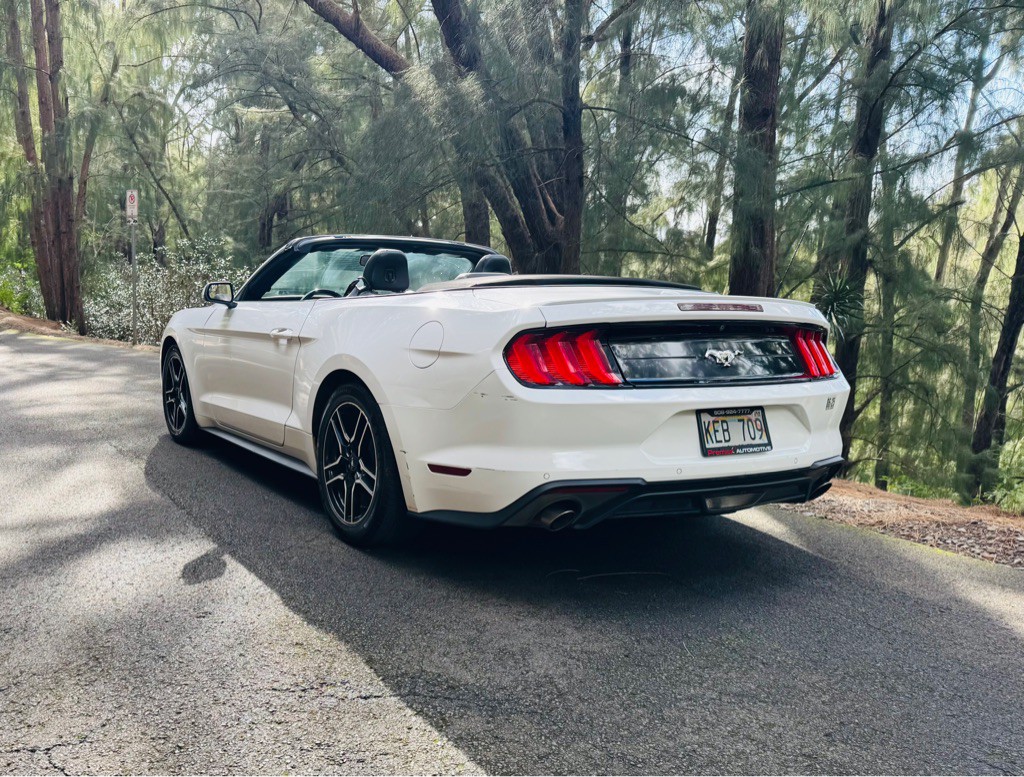 2020 Ford Mustang Image 7