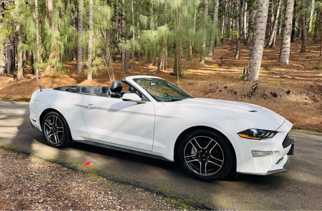 2020 Ford Mustang Image 8