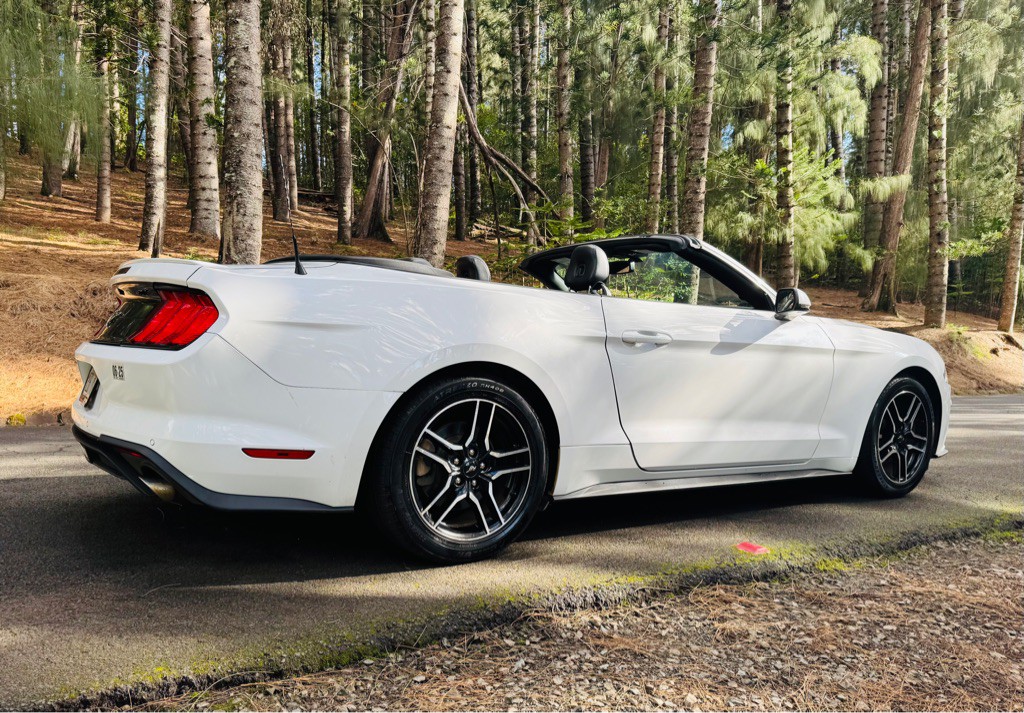 2020 Ford Mustang Image 9