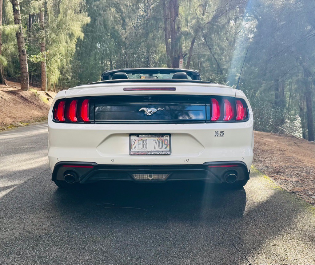 2020 Ford Mustang Image 10