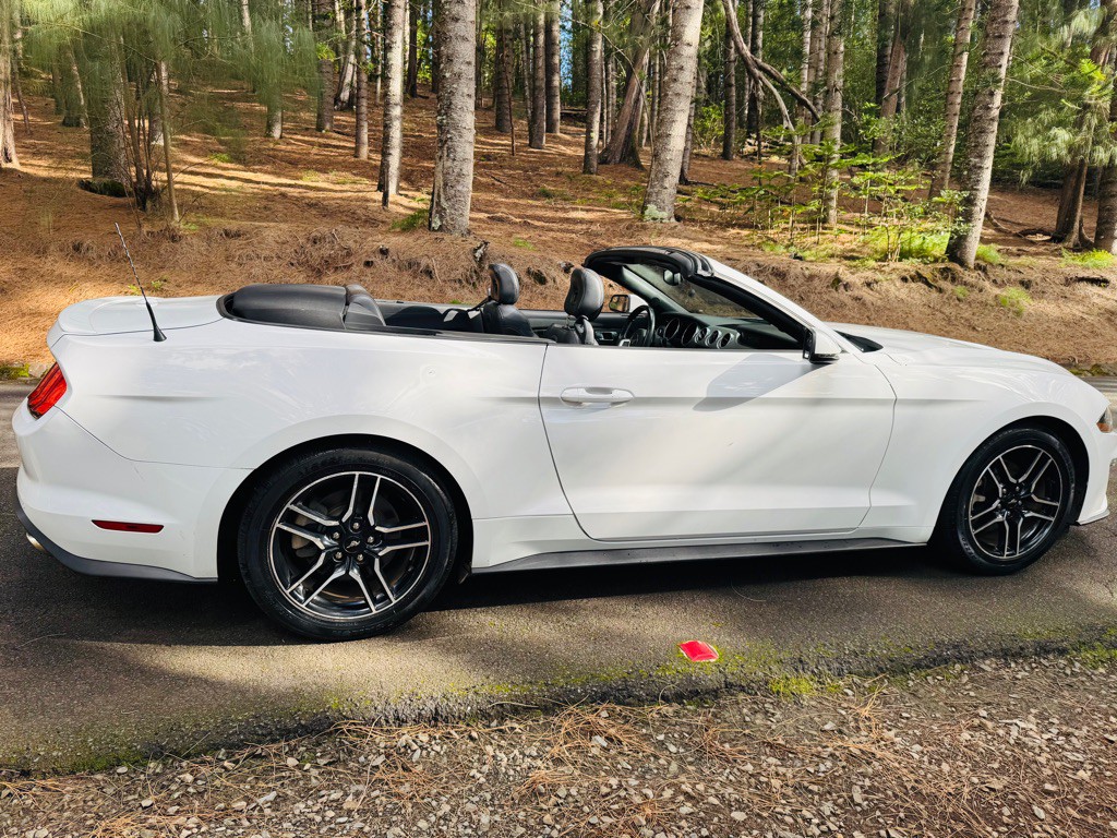 2020 Ford Mustang Image 13