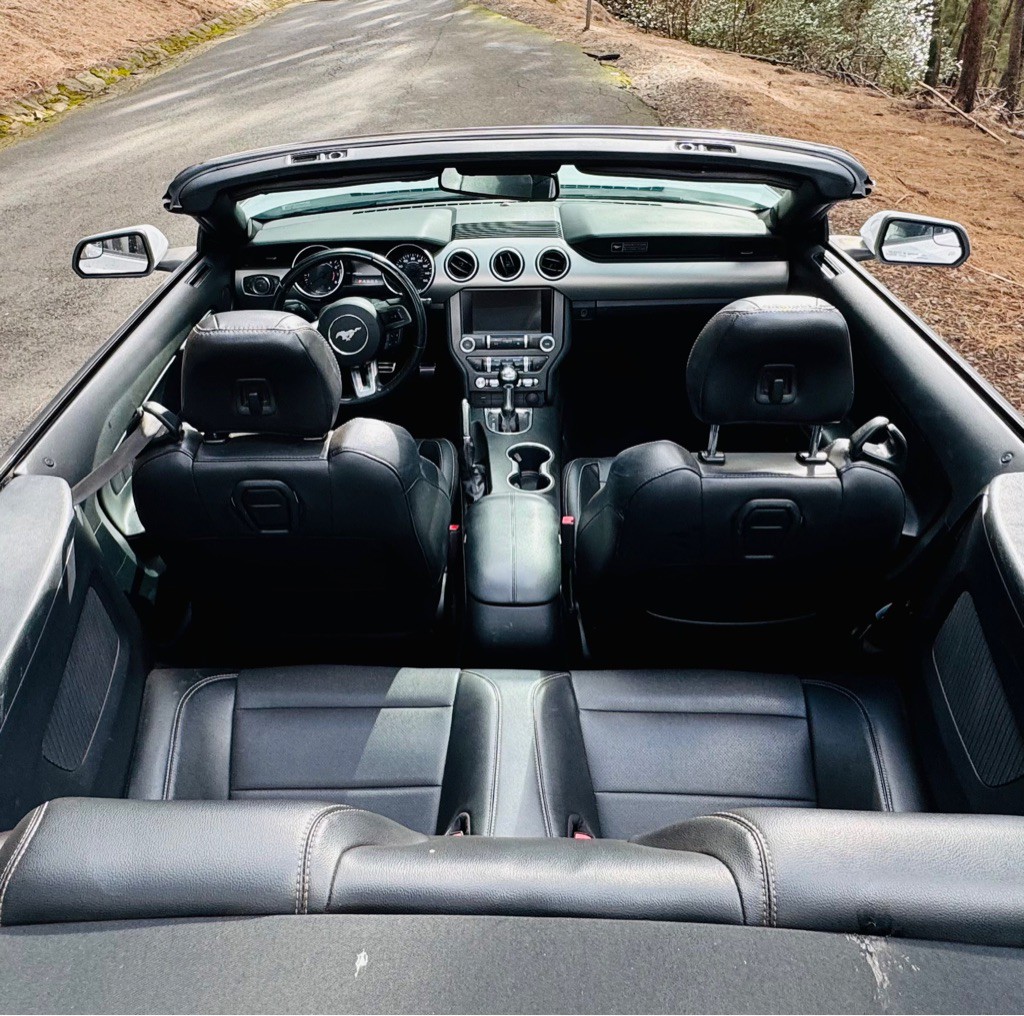 2020 Ford Mustang Image 14