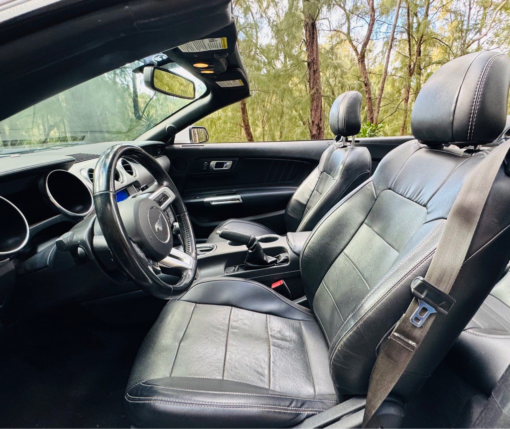 2020 Ford Mustang Image 15