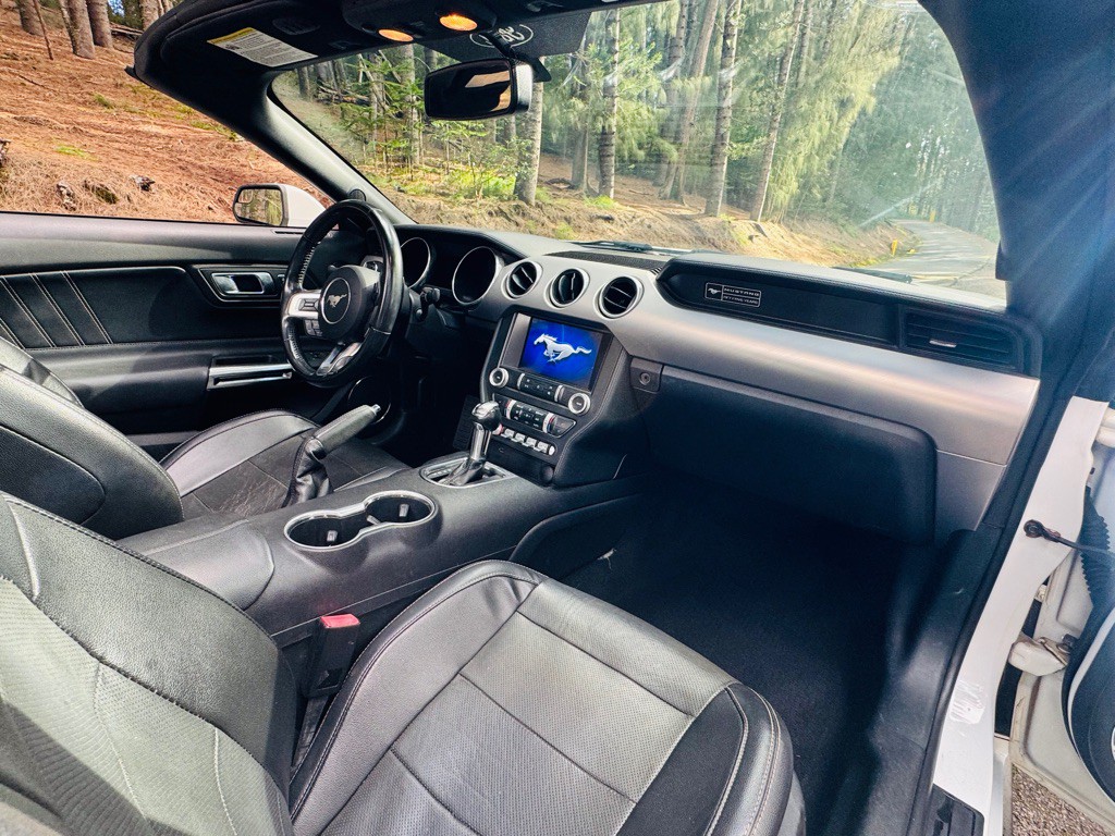 2020 Ford Mustang Image 18