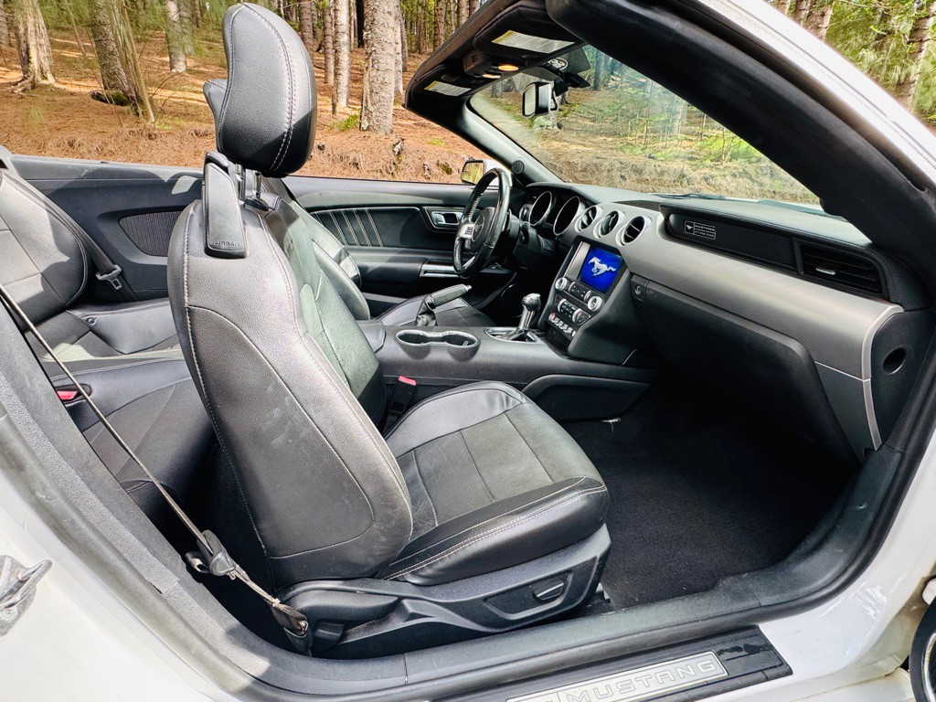 2020 Ford Mustang Image 20