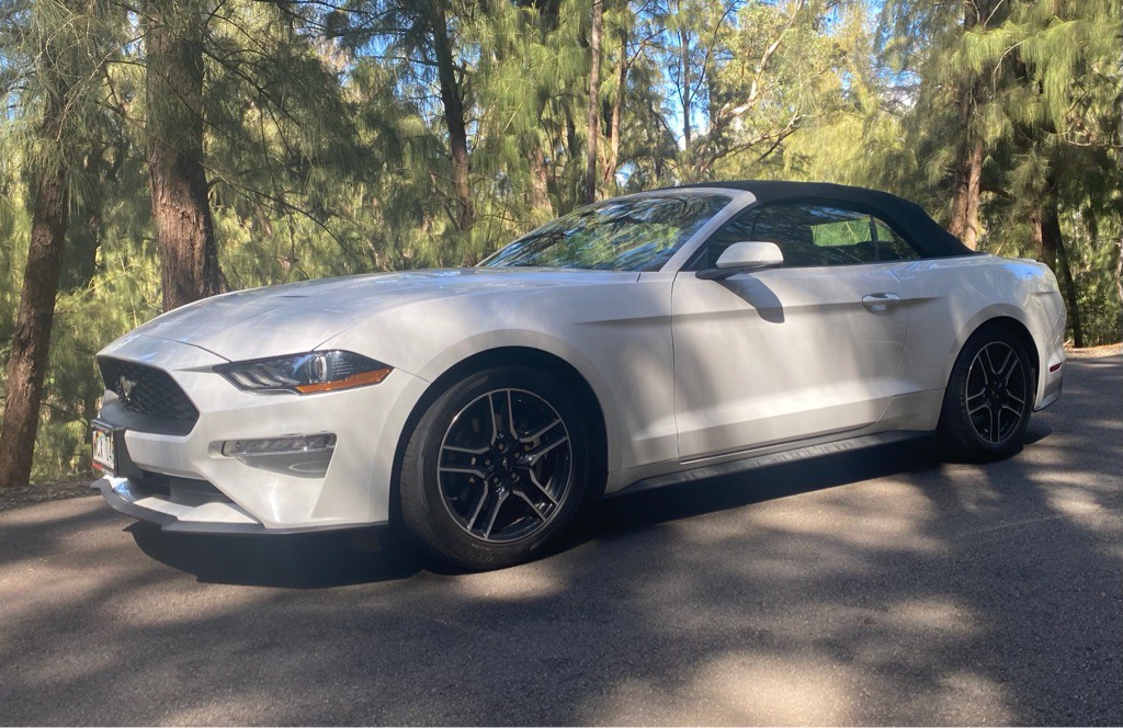 2021 Ford Mustang Image 1