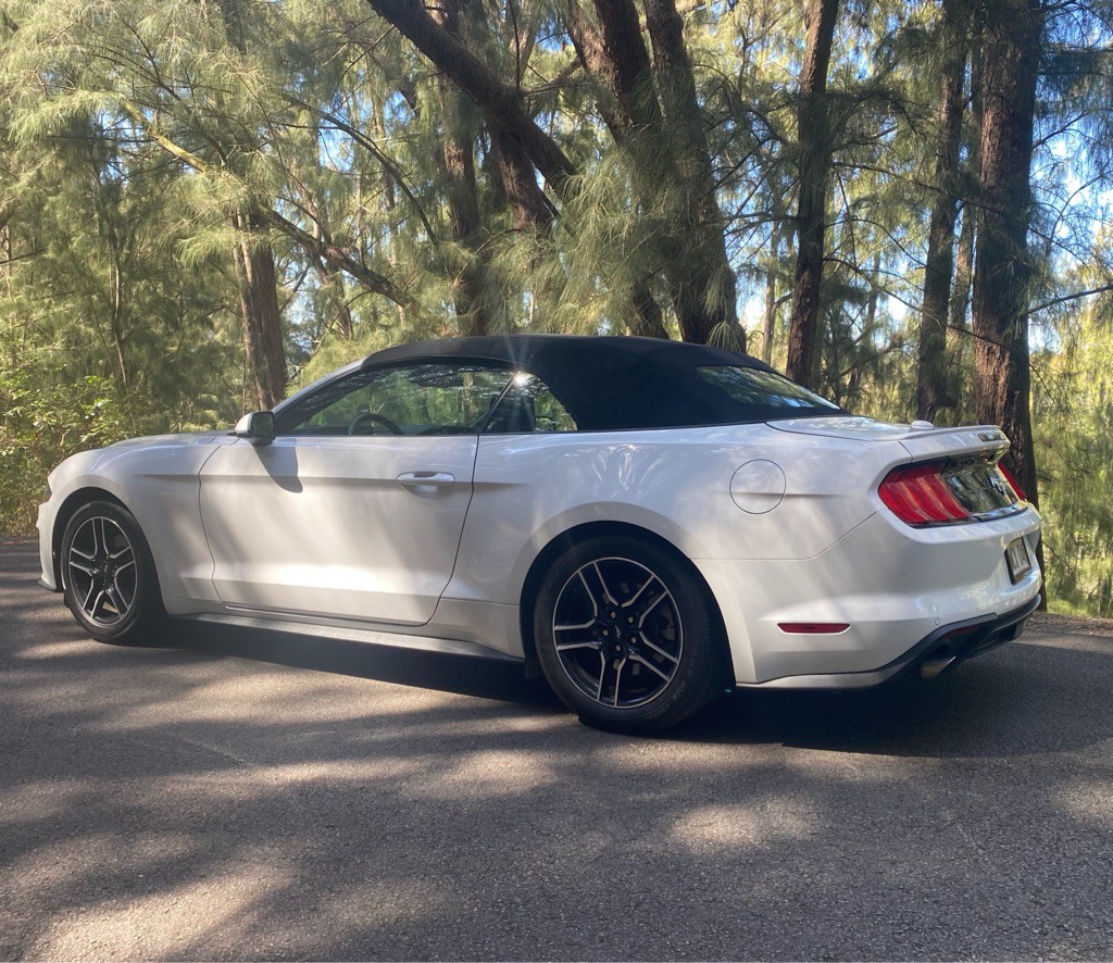 2021 Ford Mustang Image 5
