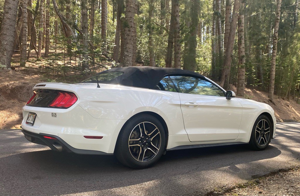 2021 Ford Mustang Image 7