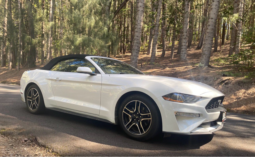 2021 Ford Mustang Image 11