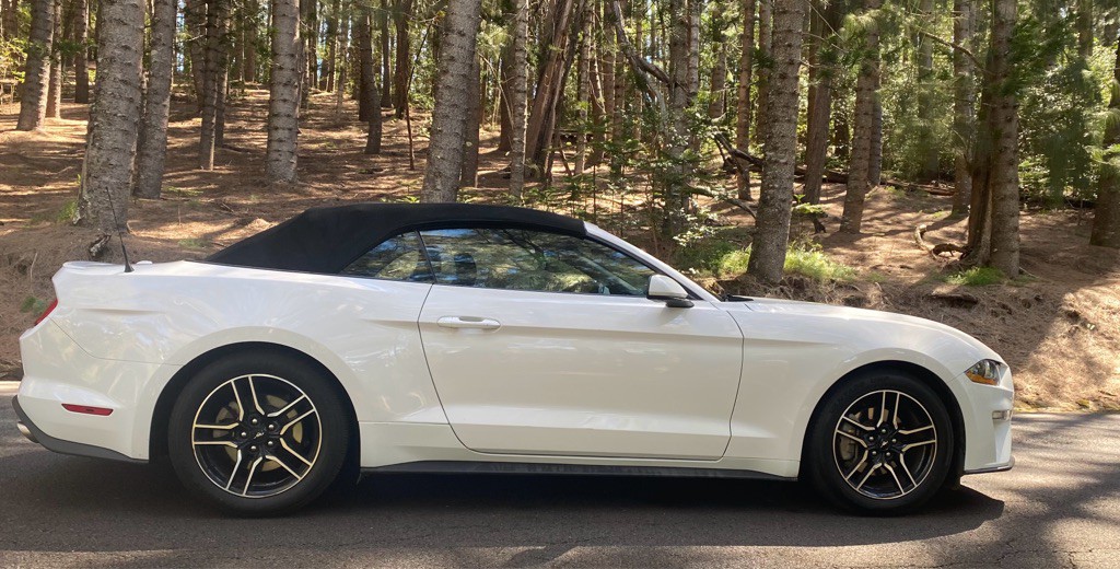 2021 Ford Mustang Image 12