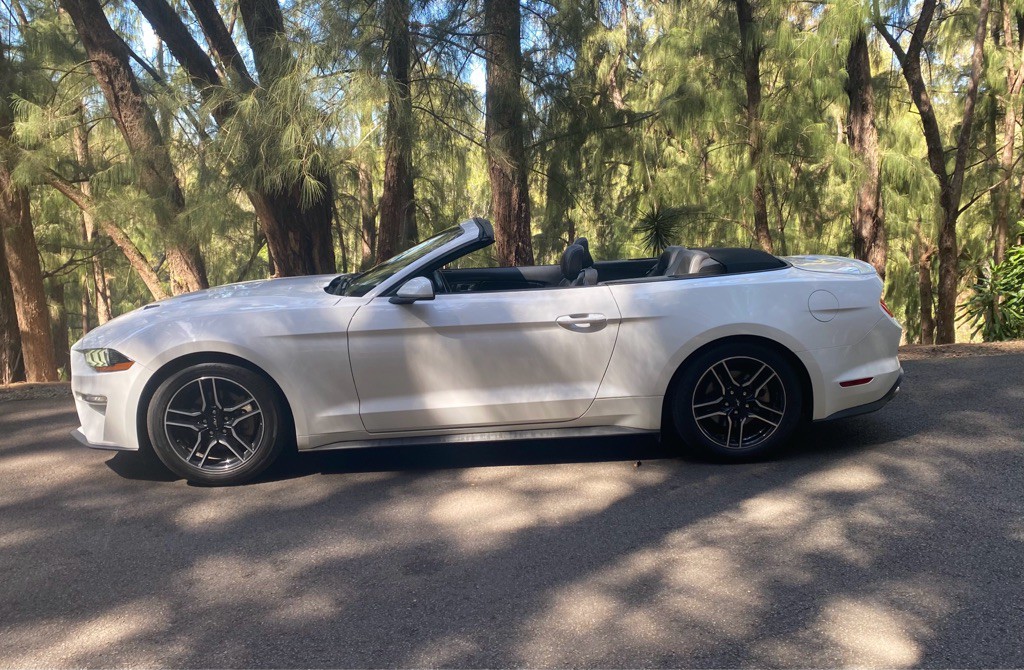 2021 Ford Mustang Image 15