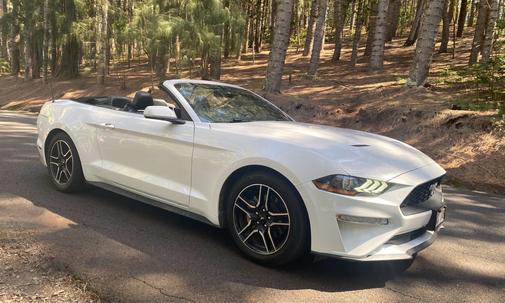2021 Ford Mustang Image 16