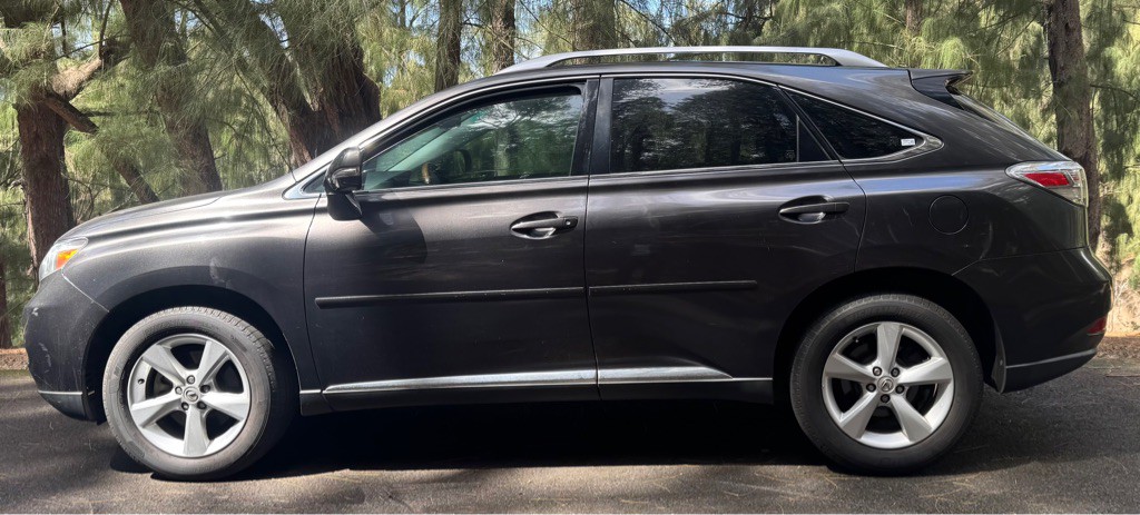 2010 Lexus RX Image 6