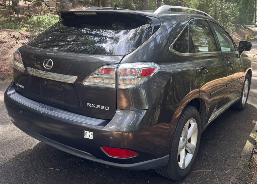 2010 Lexus RX Image 7