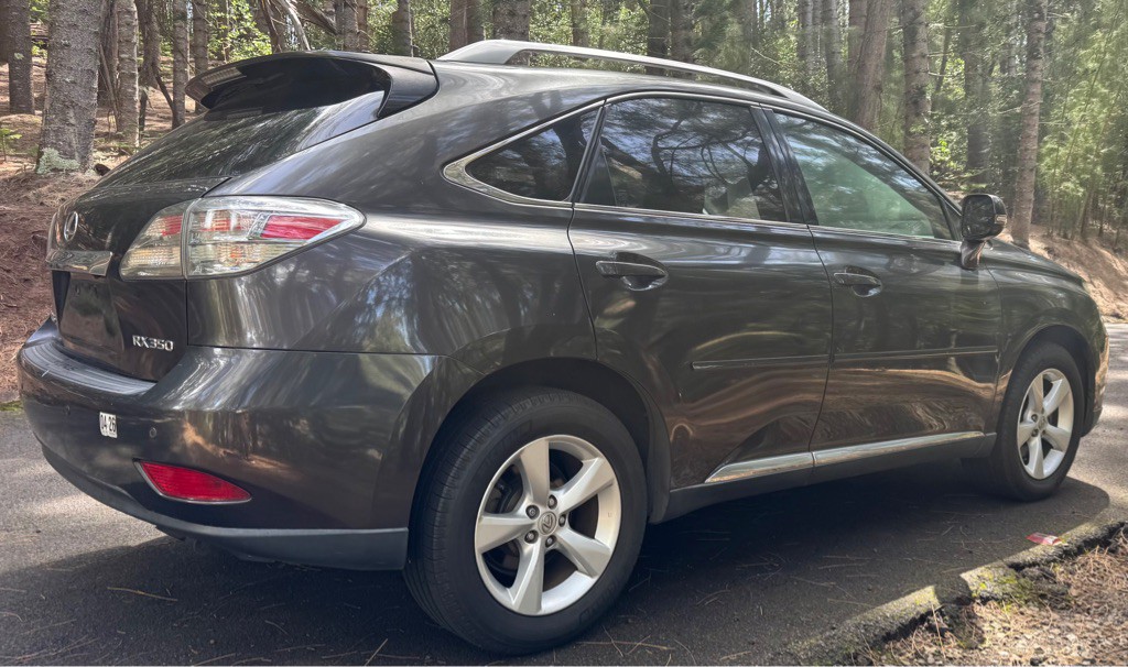 2010 Lexus RX Image 8