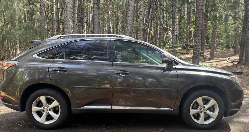 2010 Lexus RX Image 9