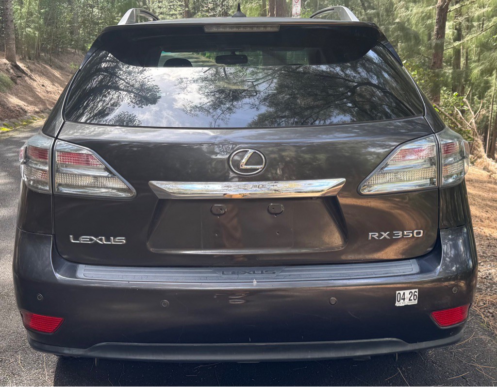 2010 Lexus RX Image 12