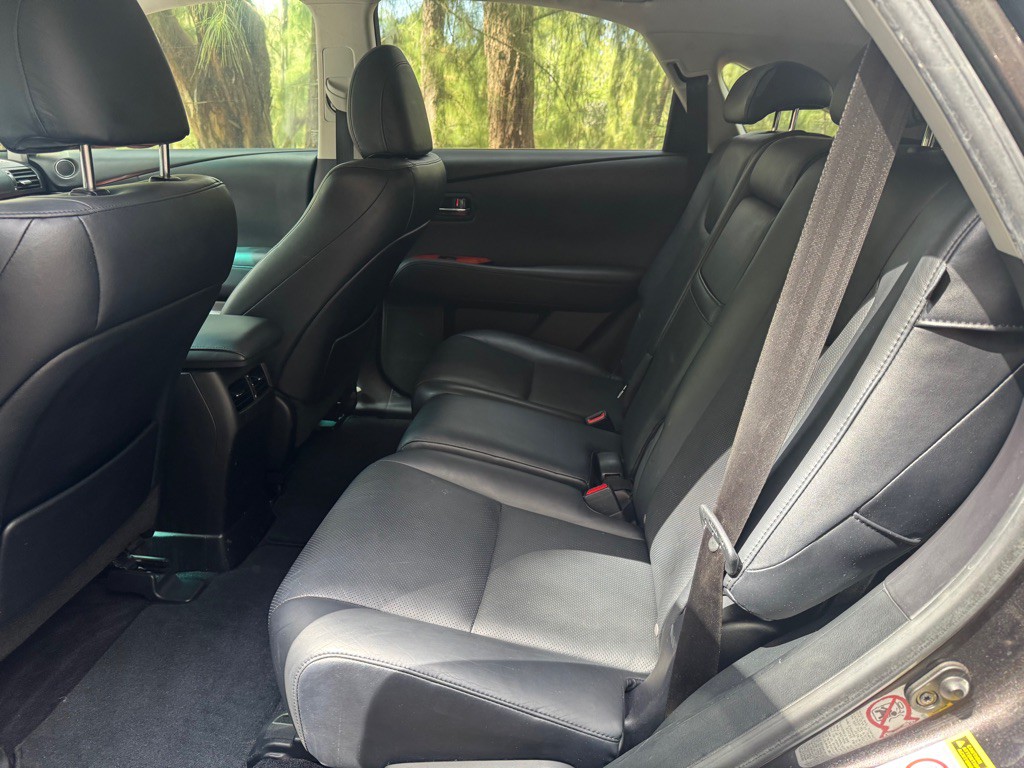 2010 Lexus RX Image 14