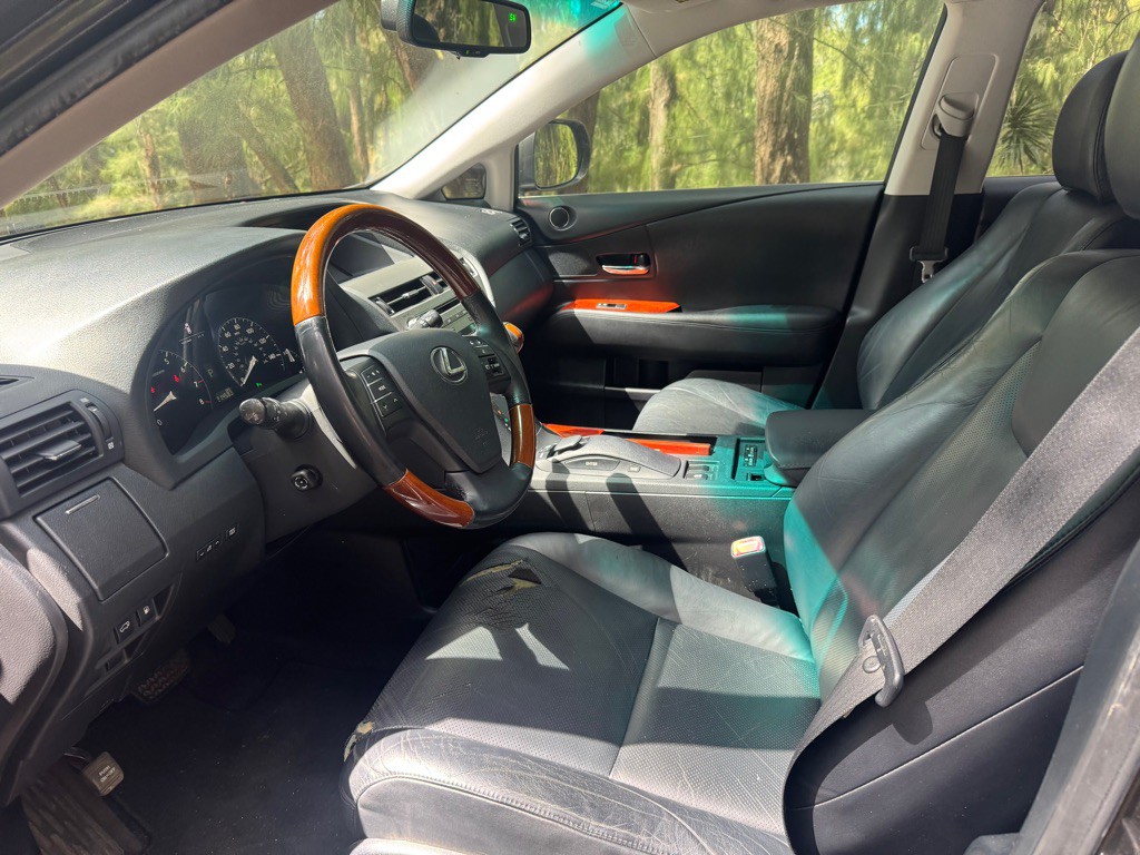 2010 Lexus RX Image 18
