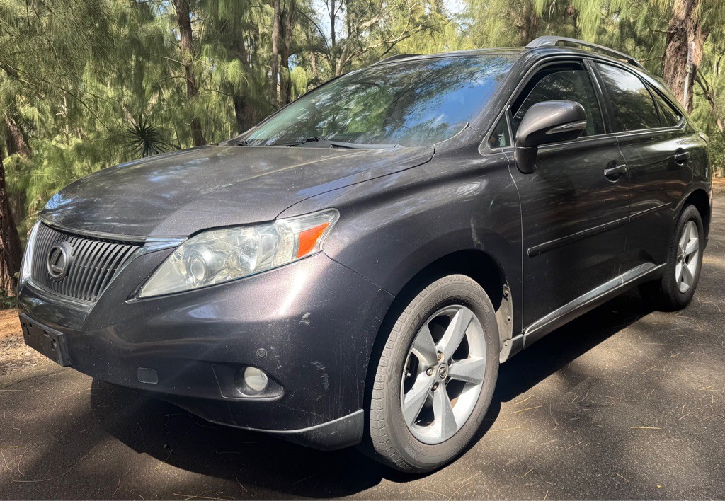 2010 Lexus RX Image 1