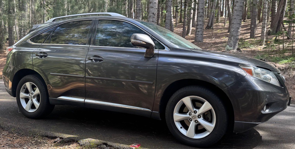 2010 Lexus RX Image 2