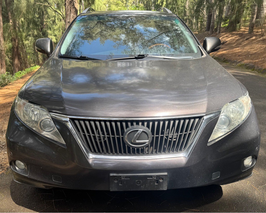 2010 Lexus RX Image 3